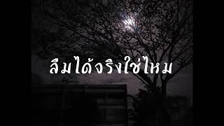 ลืมได้จริงใช่ไหม – หนุ่ม กะลา ft. ส้ม มารี (Zom Marie) Cover by PDT #หนุ่มกะลา #มาแรง