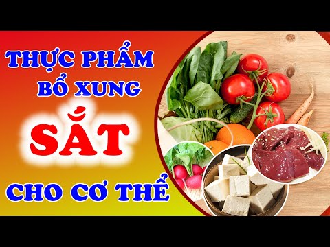 13 Siêu Thực Phẩm Giàu Chất Sắt Tốt Cho Cơ Thể Ăn Hằng Ngày Khỏi Lo Thiếu Sắt | KoreaShop24h