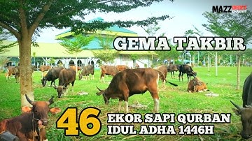 GEMA TAKBIR DAN 46 EKOR SAPI QURBAN 1446H 2025