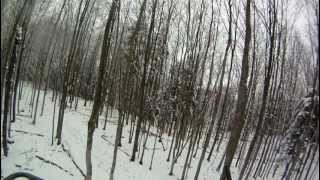 10 Point Buck 2012