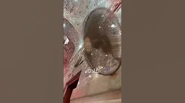 يبين عاليحبون سواد الجوه العيون علامات السهر فاقد الموسوي ياحسين يافاطمه ياعلي اكسبلور 