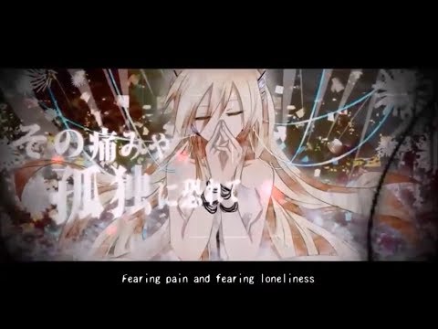 【세이란】 Lily - Paranoid Cover