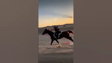 اجمل حالات واتساب فدوة لله شقد تنحبين ستوريات 2023 