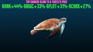 New Video-Top Gainers Slow to Turtles Pace-$NAK+44%-$BIGC+33%-$FLNT+31%-$CYRX+27%