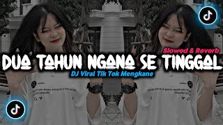 DJ Dua Tahun Ngana Se Tinggal - ( Slowed \u0026 Reverb ) 🎶