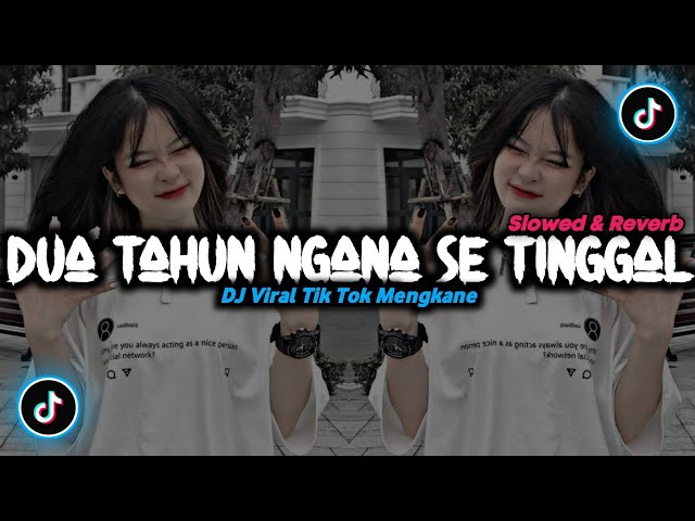 DJ Dua Tahun Ngana Se Tinggal - ( Slowed & Reverb ) 🎶 class=