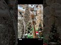 Christmas tree 🌲💓🌲 song