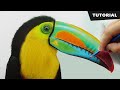 Comment dessiner un oiseau toucan avec des crayons de couleurs  tutoriel pour dbutants