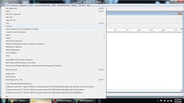 Farward and Reverse DNA sequence Alignment