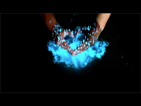 Ночесветки - секрет морского свечения