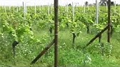 Werkhaus Mobel Mit Steck System Youtube