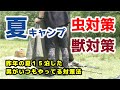 キャンプの虫・獣対策【初心者向け】