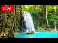 🔴 Relaxing Piano Music 24/7, Sleep Music, Study Music, Mediation Music, Relaxing Music
