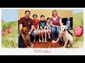 HART for Animals August 2022 Adoptions 360p