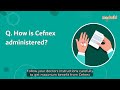 Faq how is cefnex administered