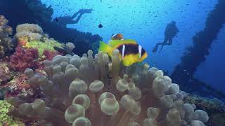 2021 Ägypten - Trailer