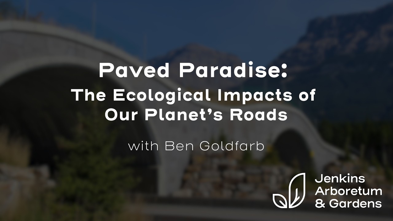 Paved Paradise: The Ecological Impacts of Our Planet’s Roads with Ben Goldfarb