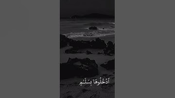 أرح قلبك بثلاوة عطرة من القرآن الكريم بصوت القارئ عبدالله السقاف