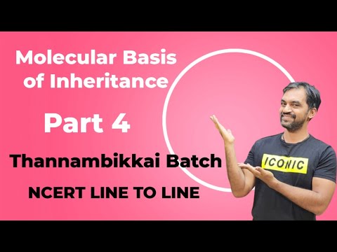Molecular Basis of Inheritance | Part 4 | NCERT Line to Line ...