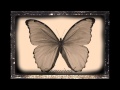 Of Moths and Butterflies - book trailer