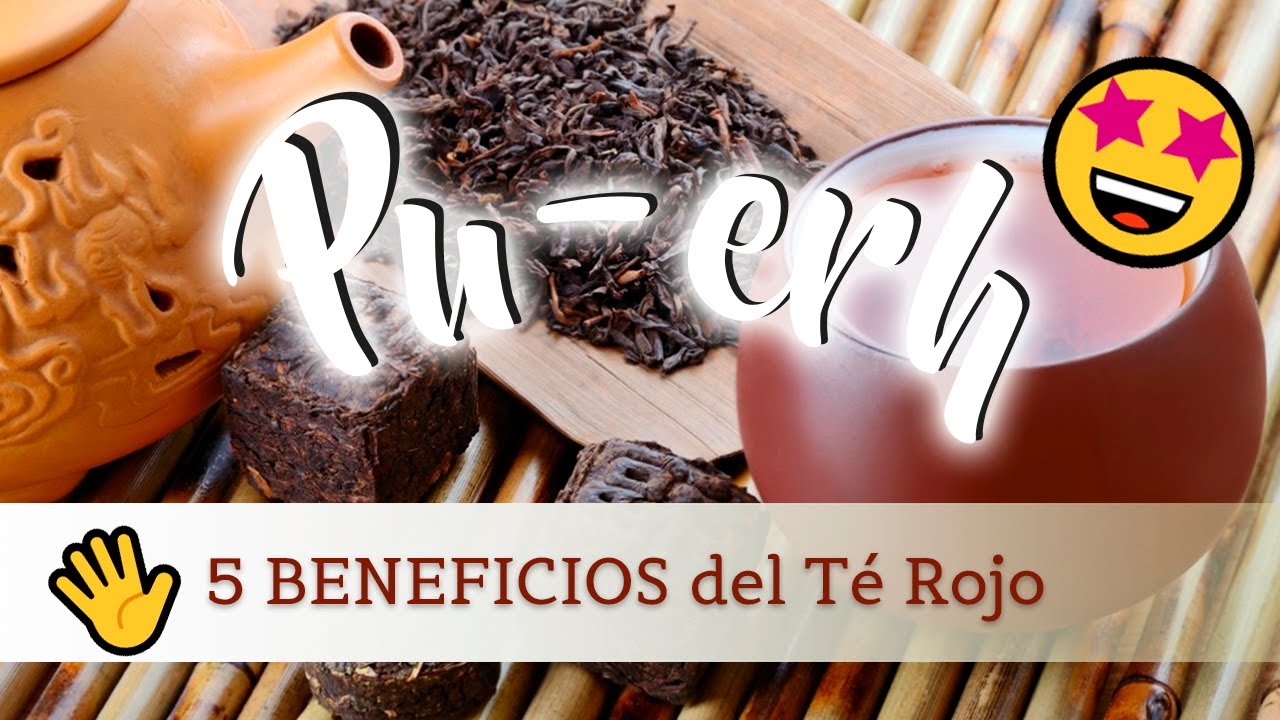 🍂5 BENEFICIOS del té rojo o té PUERH ¿Para qué sirve?🍂 YouTube