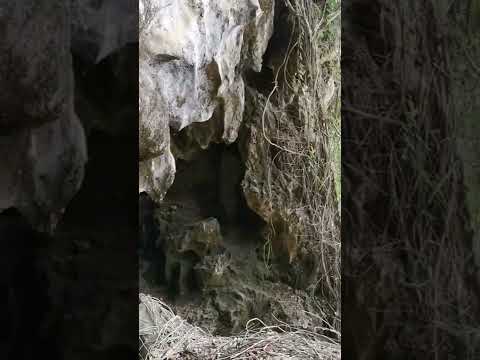 Ngu Hao 2 (Cobra Cave) in Northern Laos