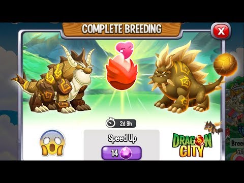 Double Terra Dragon Chart