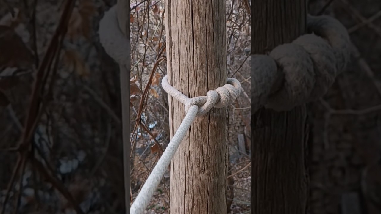 How To Tie a Timber hitch,Very useful node