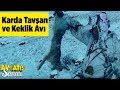 Karda Tavşan ve Keklik Avı  Av ve Atış Sanatı  Yaban Tv - Snow Rabbit and Partridge Hunting Turkey