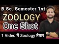 B.Sc Semester 1 Zoology One Shot पूरी Zoology एक ही वीडियो में #bsc #bsczoology #mjpru #bscnotes #pw