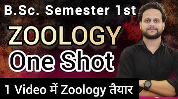 B.Sc Semester 1 Zoology One Shot पूरी Zoology एक ही वीडियो में #bsc #bsczoology #mjpru #bscnotes #pw