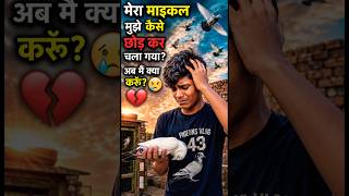 😭miss you,maikal😭🥺यह हमे छोड़कर कहाँ गया वापस आ जाओ प्लीज़🥺 #trending #pigeon #shorts #minivlog