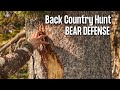 Bear Defense Options For Back Country Hunts