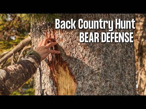 Bear Defense Options For Back Country Hunts