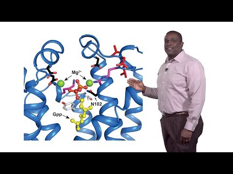 Video: Clustered CTCF Binding Er En Evolusjonsmekanisme For å Opprettholde Topologisk Assosierende Domener