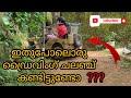 ഇതുപോലൊരു ഡ്രൈവിംഗ് ചലഞ്ച് കണ്ടിട്ടുണ്ടോ??|Driving Challenge By KIKKI|Drive in DIY Jeep