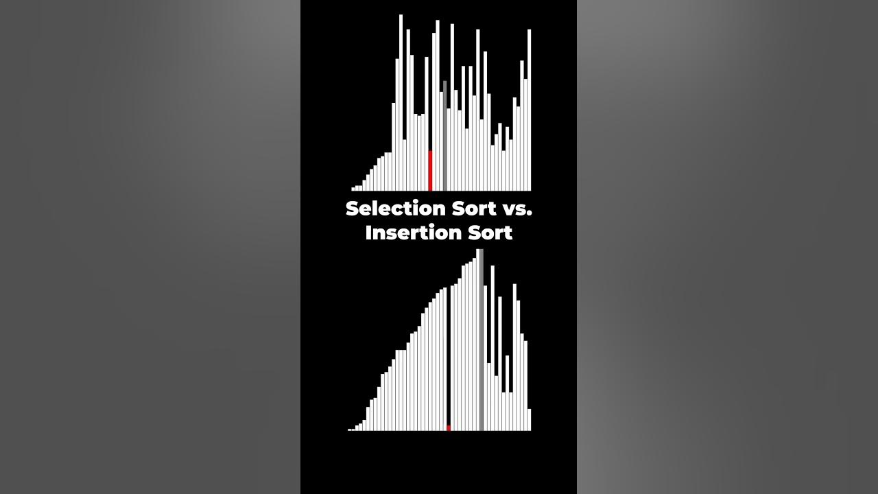 Selection sort and insertion sort python visualisation #pythonturtle # ...