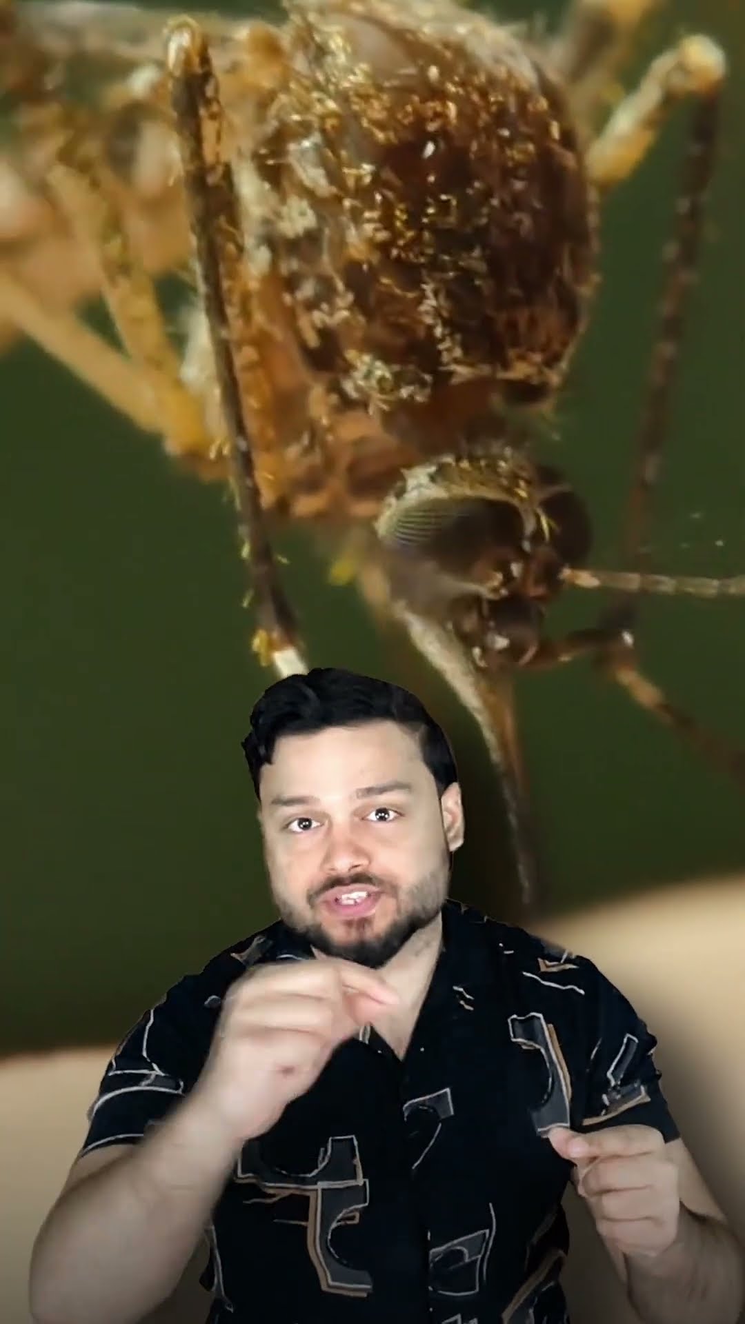 Mosquitoes Are DANGEROUS - FactTechz Short AMAZING FACTS Show #shorts