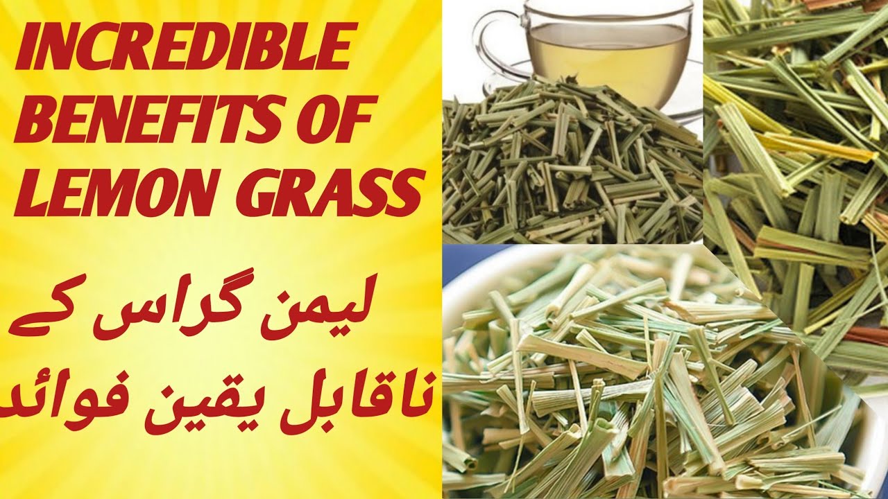 lemon grass ke fayde | benefits of lemon grass | لیمن گراس کے بے تحاشا ...