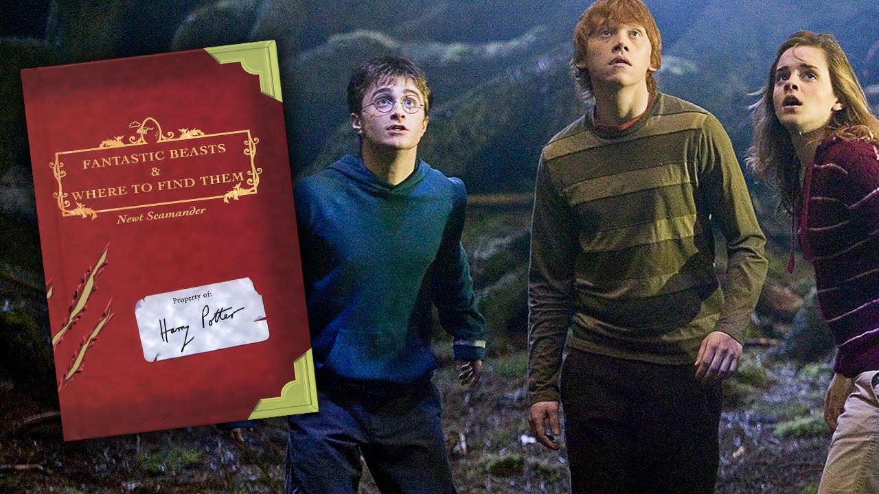 More Harry Potter Spin-offs In The Works? - YouTube