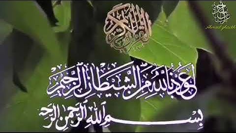 ماتيسر من سورة المائدة  للقارئ احمد غيث