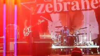 Zebrahead - Automatic