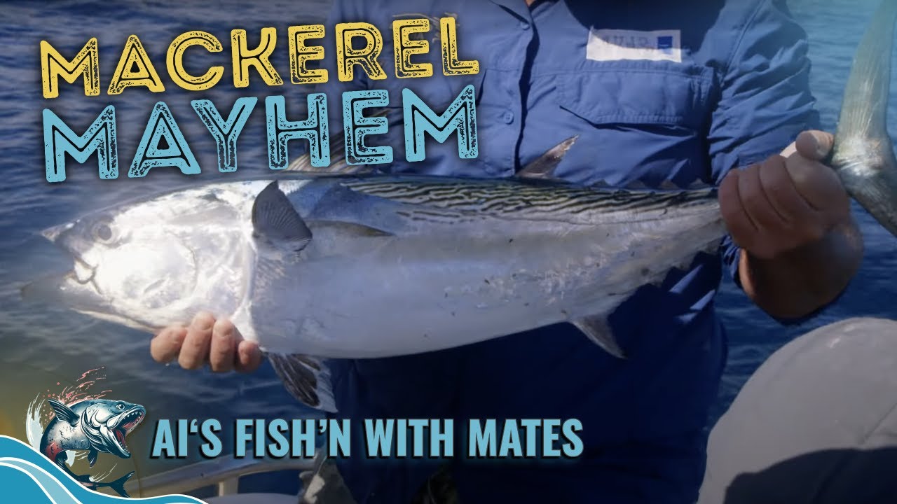 Spanish Mackerel Madness! | Al's Fish'n With Mates