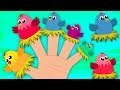 Henne finger familie  babylied  hen family  kids baby club deutschland  deutsch kinderlieder