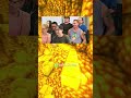 Selfie shoes #familyfriendlycontent #familyfriendly #budgetfriendly #clips #viral #fyp #fypシ