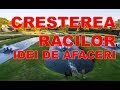 Idei de afaceri - Cresterea racilor INTRODUCERE | NexStep