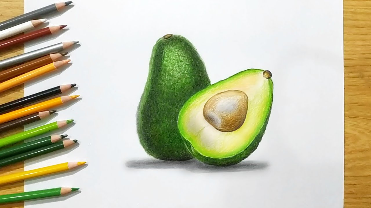Menggambar buah Alpukat realistik dengan Pensil warna