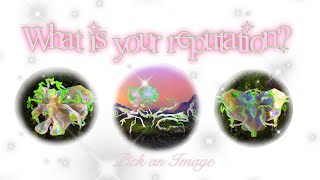 What’s your Reputation •pick a card tarot reading•