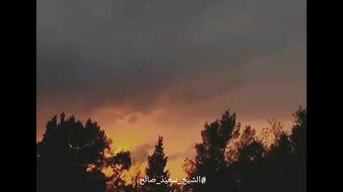 تلاوة رااائعة من سورة #الواقعة من صلاة العشاء للشيخ سعيد صالح