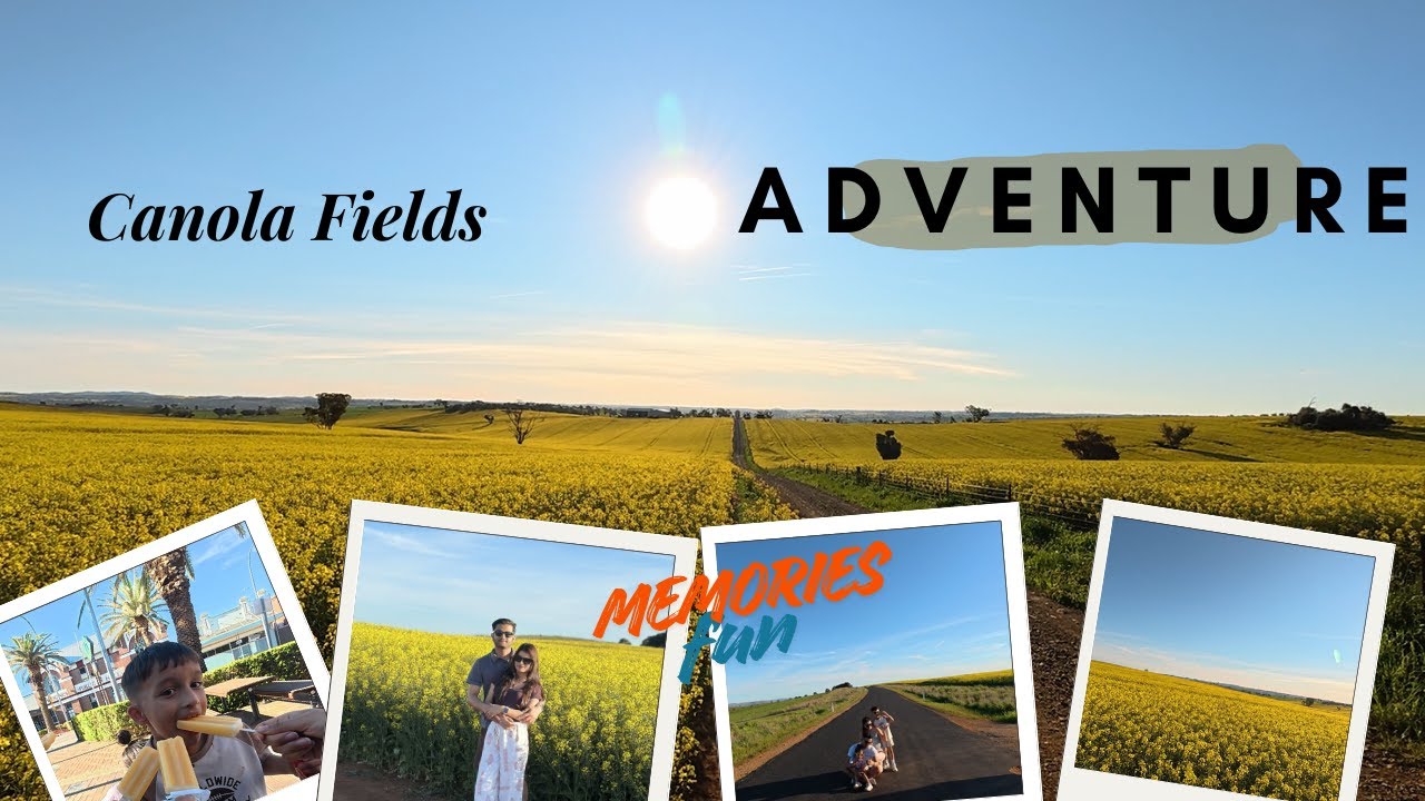 CANOLA FIELD TRIP FROM SYDNEY || WE SWAPPED OUR CAR  FOR THE DAY ||